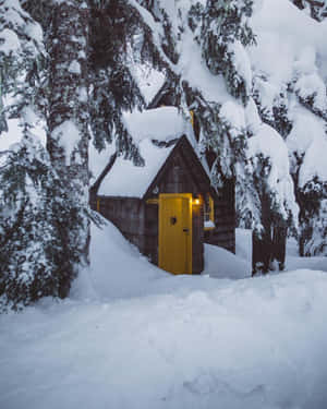 Εικόνες αισθητικής χιονιού — Snow aesthetic Ταπετσαρία
