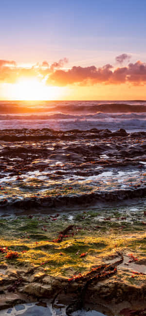 Φόντο Iphone X Καλιφόρνια — Huawei Pura 90 Pro Ταπετσαρία