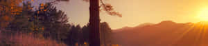 Φόντο φύσης 4K — 4K φύση GIF Ταπετσαρία