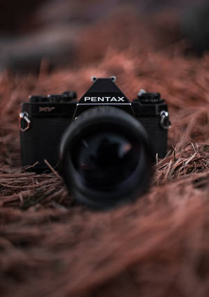 Φωτογραφία μαύρης κάμερας Pentax σε ταπετσαρία φωλιάς πουλιού. — OnePlus Pad Ταπετσαρία