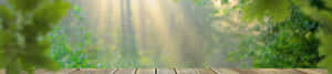 Φόντο φύσης 4k — 4K φύση GIF Ταπετσαρία