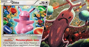 Αστείες εικόνες Pokemon — Pokémon Ταπετσαρία
