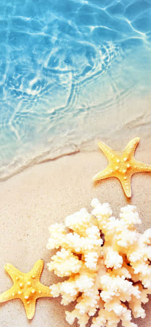 Φόντο Iphone X Summer — Oppo Reno15 Ταπετσαρία