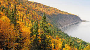 Βουνό του Κεμπέκ — Φθινόπωρο Ταπετσαρία