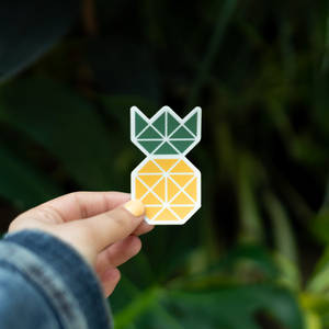 Ταπετσαρία με γεωμετρικό αυτοκόλλητο ανανά που κρατά μια κυρία — 1:1 Ταπετσαρία