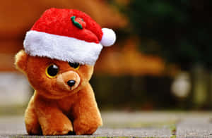 Χαριτωμένες αισθητικές χριστουγεννιάτικες εικόνες