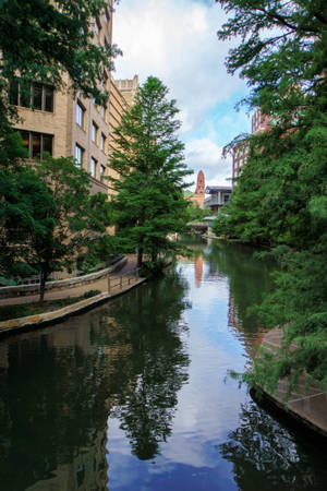 Δέντρα Κατά Μήκος του San Antonio River Walk — Xiaomi Pad 8 Pro Ταπετσαρία