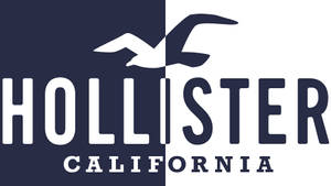 Δίχρωμο Λογότυπο Hollister ταπετσαρία — Chromebook Ταπετσαρία