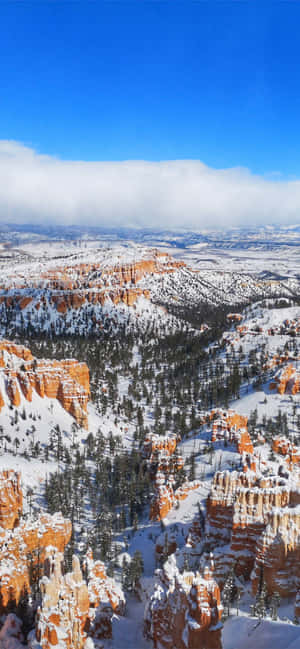 Εθνικό Πάρκο Bryce Canyon Βαθύ Χιόνι — Vivo V80 Lite Ταπετσαρία