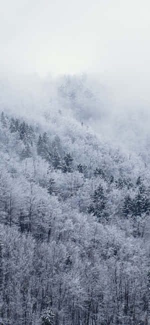 Snow iPhone — Pixel 11 Pro XL Ταπετσαρία