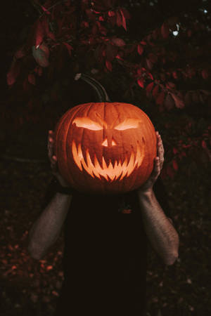 Ταπετσαρία εικόνας κινητού με κολοκύθα Halloween