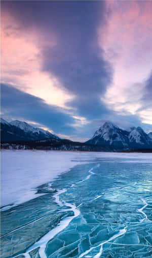 Aesthetic Nature Tumblr — Infinix Xpad Ταπετσαρία