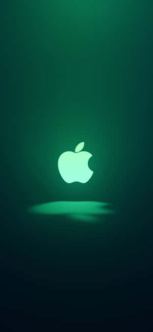 iPhone 11 Πράσινο — Pixel 8 Ταπετσαρία