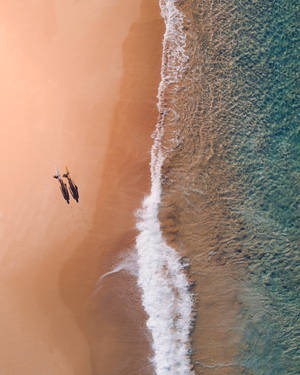 Εναέρια Θέα Παραλία Μπόντι Αυστραλία wallpaper — iPhone 7 Ταπετσαρία