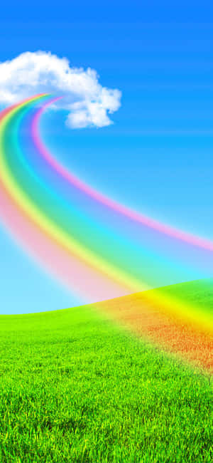 1080x2340