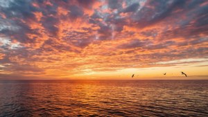 Ένα εκπληκτικό ηλιοβασίλεμα πάνω από τον ωκεανό με ζωντανά χρώματα και αντανακλάσεις.