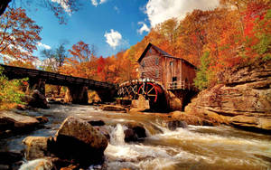 Ταπετσαρία Ηλιόλουστου Φθινοπώρου στο Grist Mill.