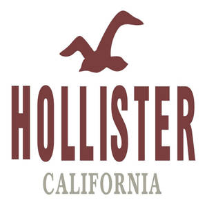 Ταπετσαρία Κλασικό Λογότυπο Hollister — Motorola Razr 2025 Ταπετσαρία