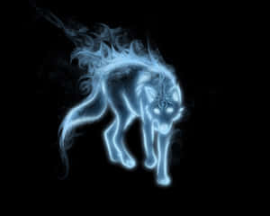 Εικόνες Cool Λύκου — Cool wolf Ταπετσαρία