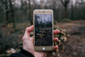 άτομο που φωτογραφίζει ξύλα για τζάκι με iPhone