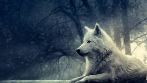 Κομψός Λύκος στο Δάσος — Cool wolf Ταπετσαρία