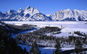 Ταπετσαρία κρύου Εθνικού Πάρκου Grand Teton