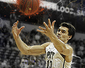 Ταπετσαρία καλλιτεχνικής επεξεργασίας Steven Adams — 5:4 Ταπετσαρία