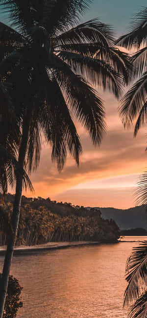 1170x2532 — Oppo Reno15 F Ταπετσαρία