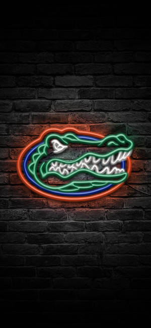 Ταπετσαρία Λογότυπο Florida Gators Σε Νέον Φώτα — iPhone 11 Pro Ταπετσαρία