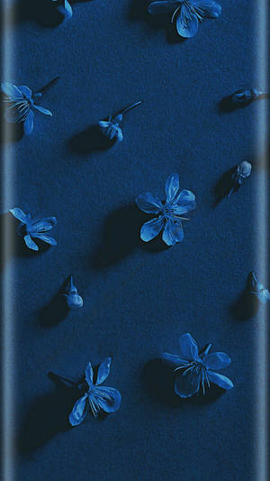 Λουλούδια Αισθητική Σκούρο Μπλε HD — Aesthetic Dark Blue Ταπετσαρία