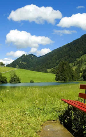 Nature Android Hd — Lenovo Legion Y700 AI Ταπετσαρία