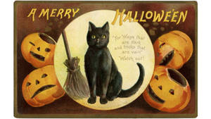 Μαύρη γάτα μάγισσας vintage Halloween