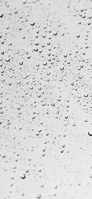 1290x2796 — Fairphone Ταπετσαρία