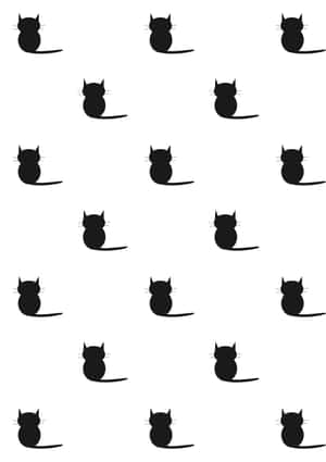 Εικόνες μαύρης γάτας — Cat Noir Ταπετσαρία