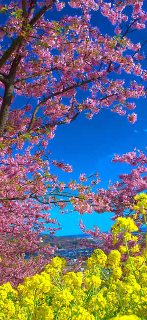 Pixel 3 Spring Background — OnePlus 13T Ταπετσαρία