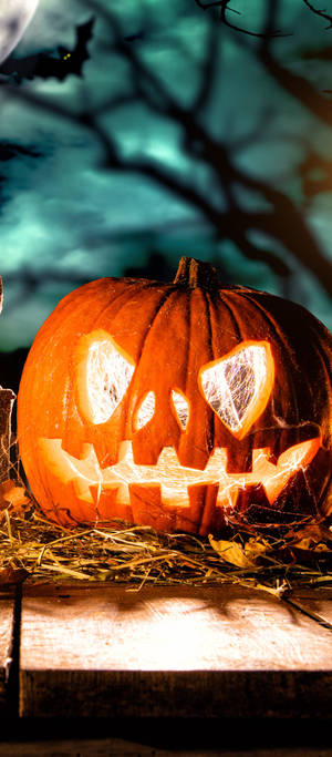 Χαριτωμένο Halloween Τηλέφωνο — Galaxy Z Flip Ταπετσαρία