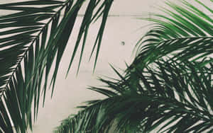 1280x800 — 1280x800 Ταπετσαρία