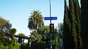 Ταπετσαρία Μπλε Πινακίδα Sunset Boulevard — Ηλιοβασίλεμα λεωφόρος Ταπετσαρία