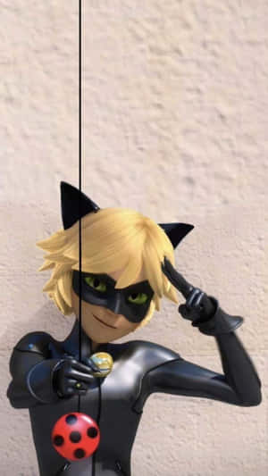 Εικόνες Cat Noir