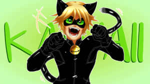 Εικόνες Cat Noir — Cat Noir Ταπετσαρία