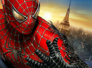 Εικόνες Spider-Man — Spider-Man Ταπετσαρία