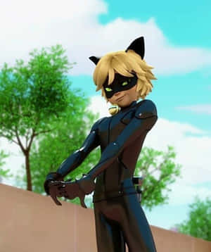 εικόνες Cat Noir