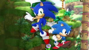 Κουλ Σόνικ — Cool Sonic Ταπετσαρία