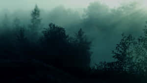 Dark Forest Background — Ομιχλώδες δάσος Ταπετσαρία