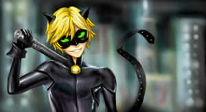 Εικόνες Cat Noir — Κινούμενο σχέδιο γάτας GIF Ταπετσαρία