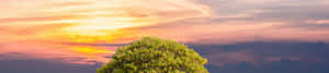 Φόντο φύσης 4K — 4K φύση GIF Ταπετσαρία