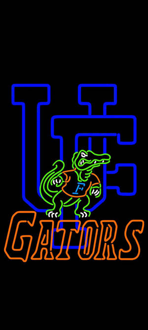 Ταπετσαρία University Of Florida Gators Φώτα Νέον — iPhone Xs Max Ταπετσαρία