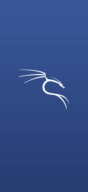 Φόντο Kali Linux — CMF Phone 1 Ταπετσαρία
