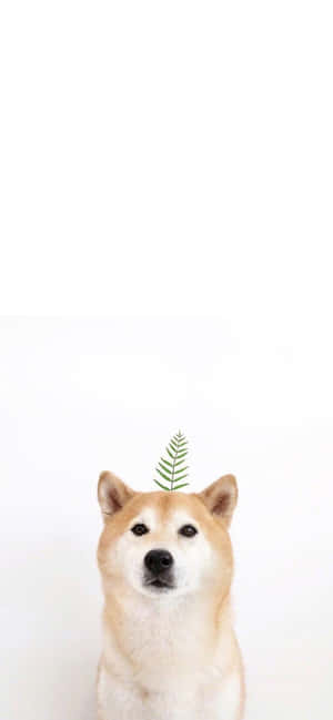 Cute Animal iPhone — Galaxy S25 Ultra Ταπετσαρία