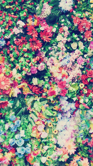 Πολύχρωμα Ανάμικτα Λουλούδια Floral iPhone